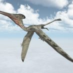 Pterosaur Pterodactylus